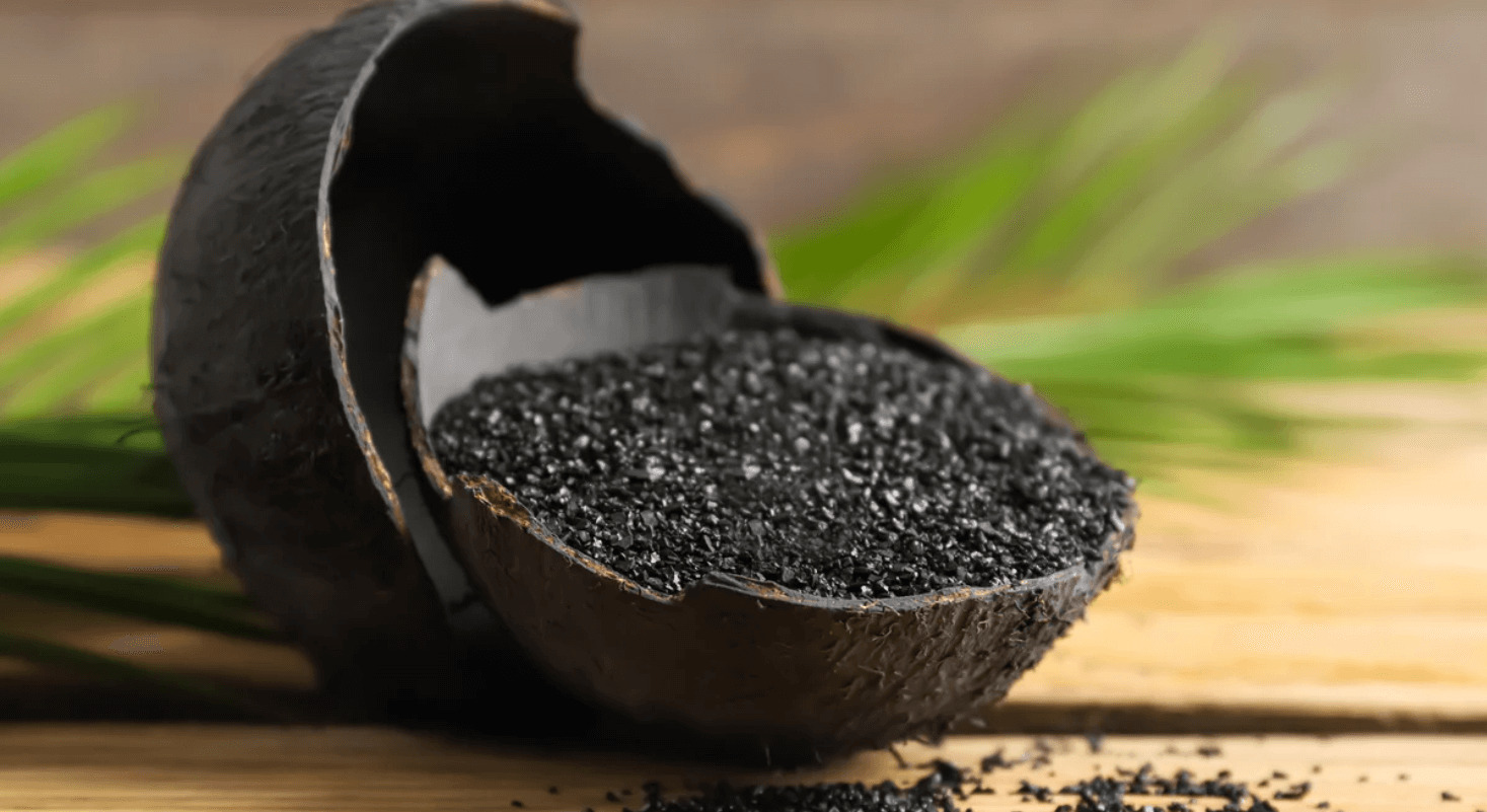 SUNYEE Coconut Shell Charcoal